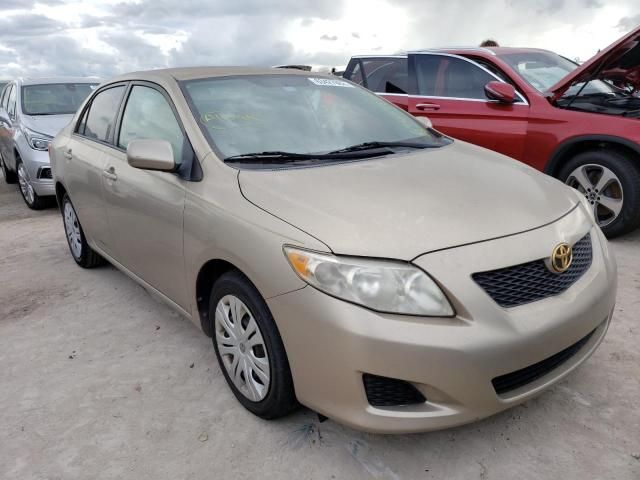 Toyota Corolla • 2010 • 33 km 1