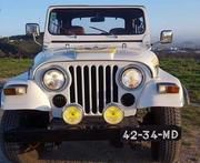 Jeep Renegade • 1982 • 179,999 km
