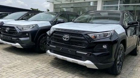 Toyota RAV4 EV • 2018 • 50,000 km