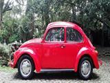 Volkswagen Beetle • 1994 • 50,000 km