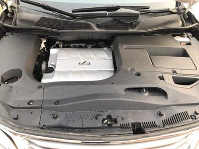 Lexus RX • 2010 • 64,000 km