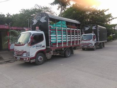 Hino Dutro • 2017 • 180 km