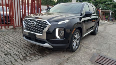 Hyundai Palisade • 2020 • 3 km