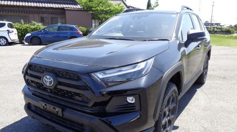 Toyota RAV4 • 2024 • 12,345 km