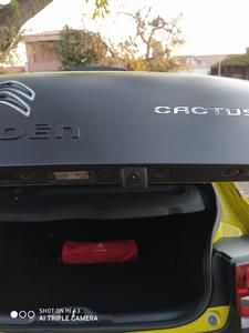 Citroën C4 Cactus • 2018 • 38,000 km