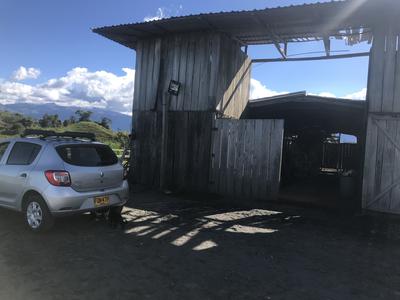 Renault Sandero • 2020 • 520,000 km