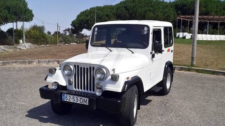 Jeep Wrangler • 2001 • 99,000 km