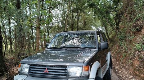 Mitsubishi Pajero • 2008 • 60,000 km