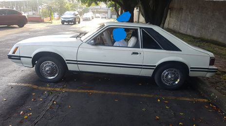 Ford Mustang • 1980 • 1,300 km