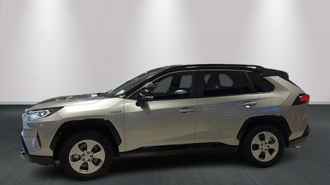 Toyota RAV4 • 2019 • 11,000 km