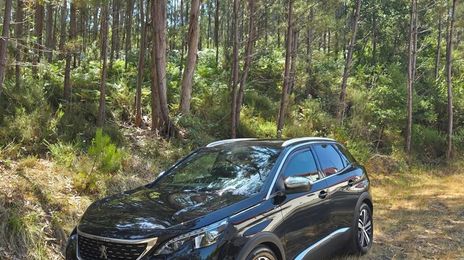 Peugeot 3008 • 2018 • 100,000 km