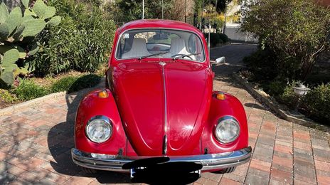 Volkswagen Beetle • 1970 • 26,000 km
