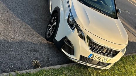 Peugeot 3008 • 2019 • 212,500 km