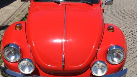 Volkswagen Beetle • 1974 • 88,000 km