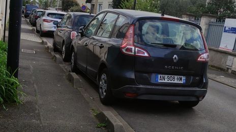 Renault Mégane Scénic • 2010 • 250,000 km