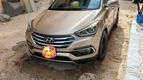 Hyundai Santa Fe • 2017 • 25,000 km