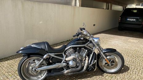 Harley Davidson v-rod • 2009 • 14,000 km