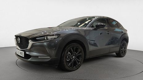 Mazda CX-30 • 2024 • 11,725 km