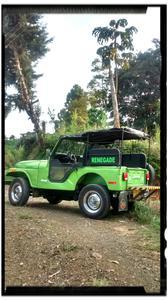 Jeep Renegade • 1978 • 523,630 km