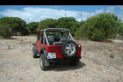 Jeep Wrangler • 1991 • 155,000 km